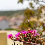 Hébergement de vacances Monolocale Il Girasole *