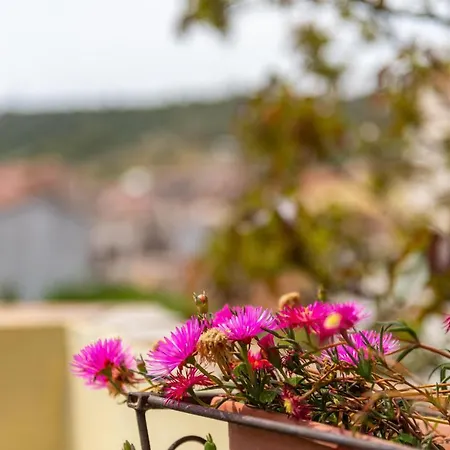 Holiday home Monolocale Il Girasole *
